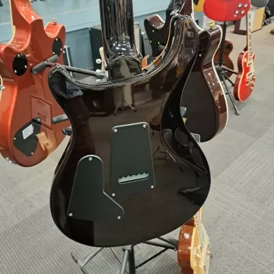 PRS SE Custom 24 4